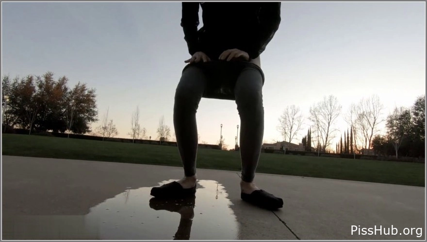 Dusk Public Park Walk, Pissing, Flashing 2025, MPEG-4, 185 MB